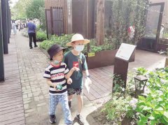 上海长宁区打造生境花园 视绿、听风、嗅香、赏果、触岩五感俱全