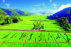 陕西延安：乡村生态振兴绘就新画卷