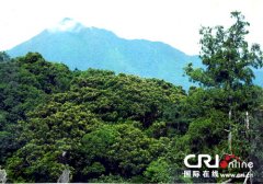 琼中名山：海南黎母山森林公园