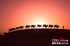 新疆麦盖提：沙漠王国书写绿色篇章