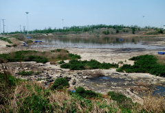 无处安放的污泥 ——沈阳祝家镇150 万吨污泥露天堆放调查