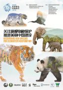 世界野生动植物日宣传活动在各地举办