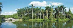 专访中科院华南植物园主任任海：世界最大南亚热带植物园怎样代表国家引领世界？