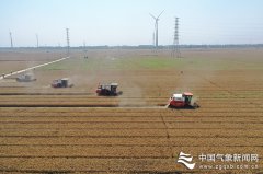 中国气象局规范水稻和玉米种业气象服务